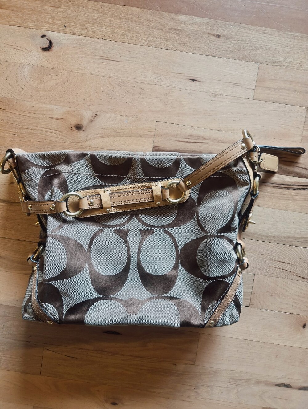 Coach Y2K Carly Purse